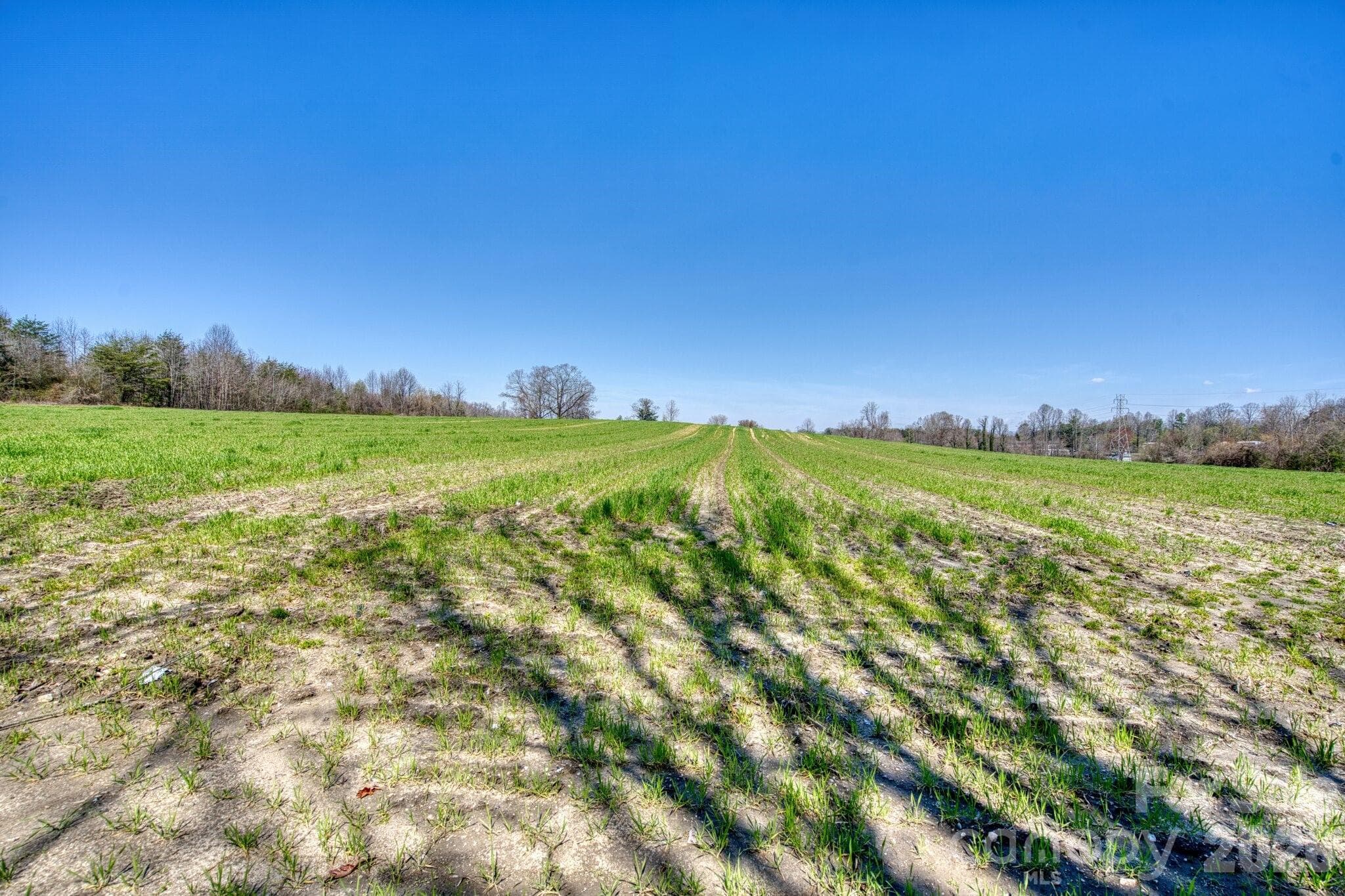 Acreage at Hendersonville, photo 17 of 33