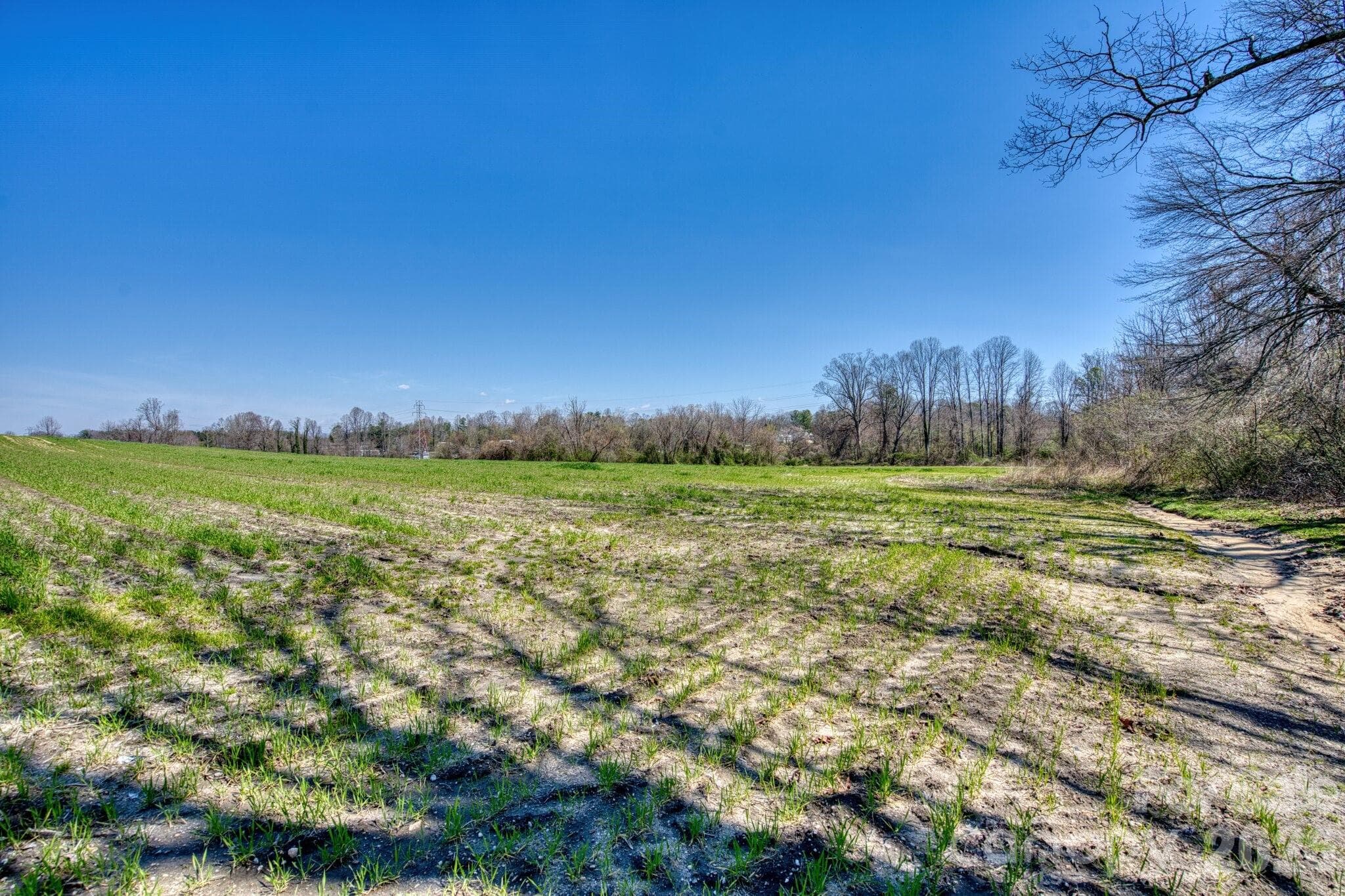 Acreage at Hendersonville, photo 19 of 33