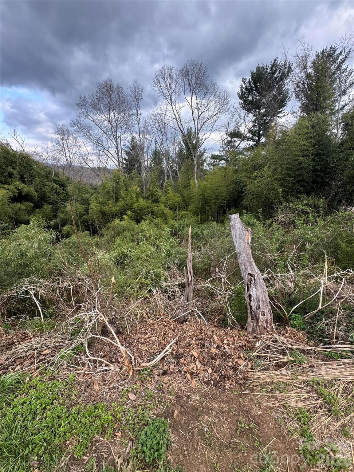 Lot at Asheville, photo 2 of 2