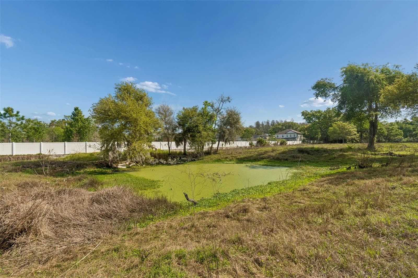 Mixed Use at 6213 ORIENT RD, TAMPA, photo 46 of 51