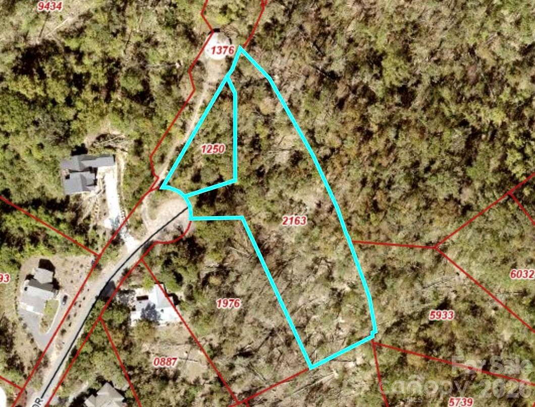 The Large Lot stays high on the ridgelinewith access from the smaller lot to avoid the gully. - Weaverville