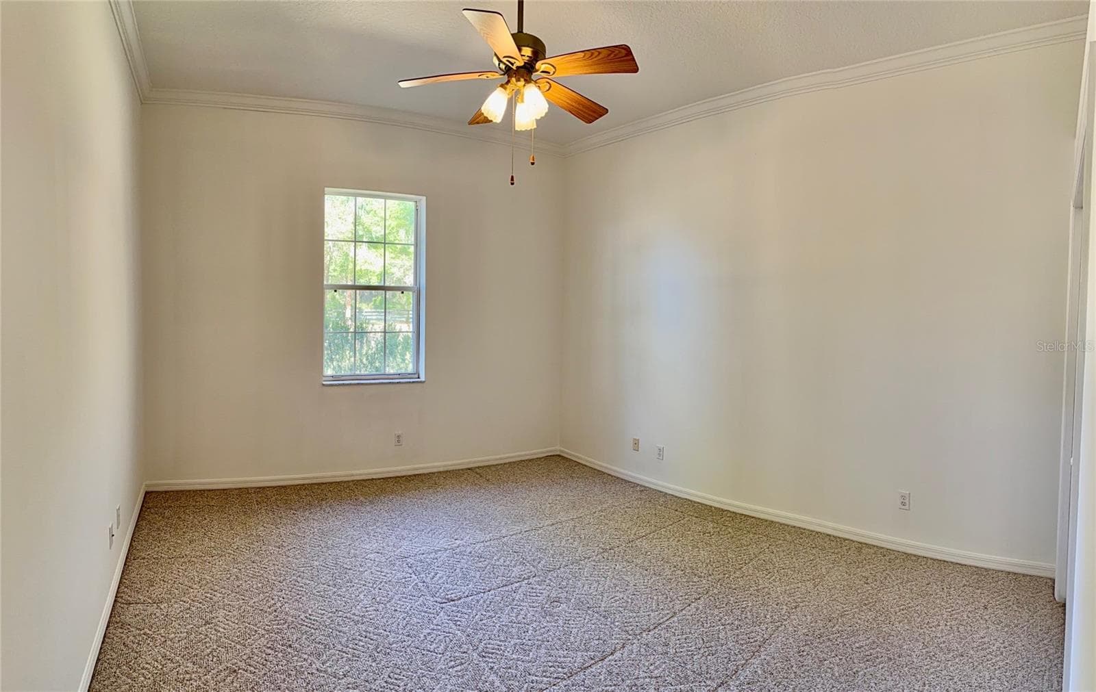 Guest Room 2 - 3701 W ANTHONY RD, OCALA