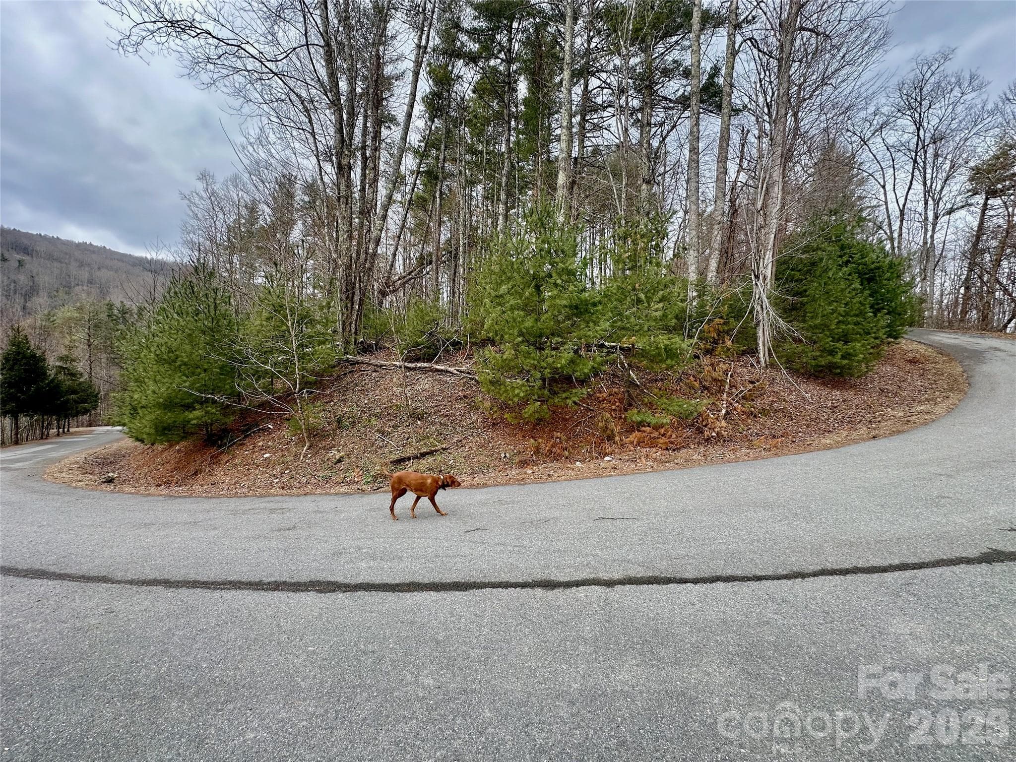 TBD mantera Ridge