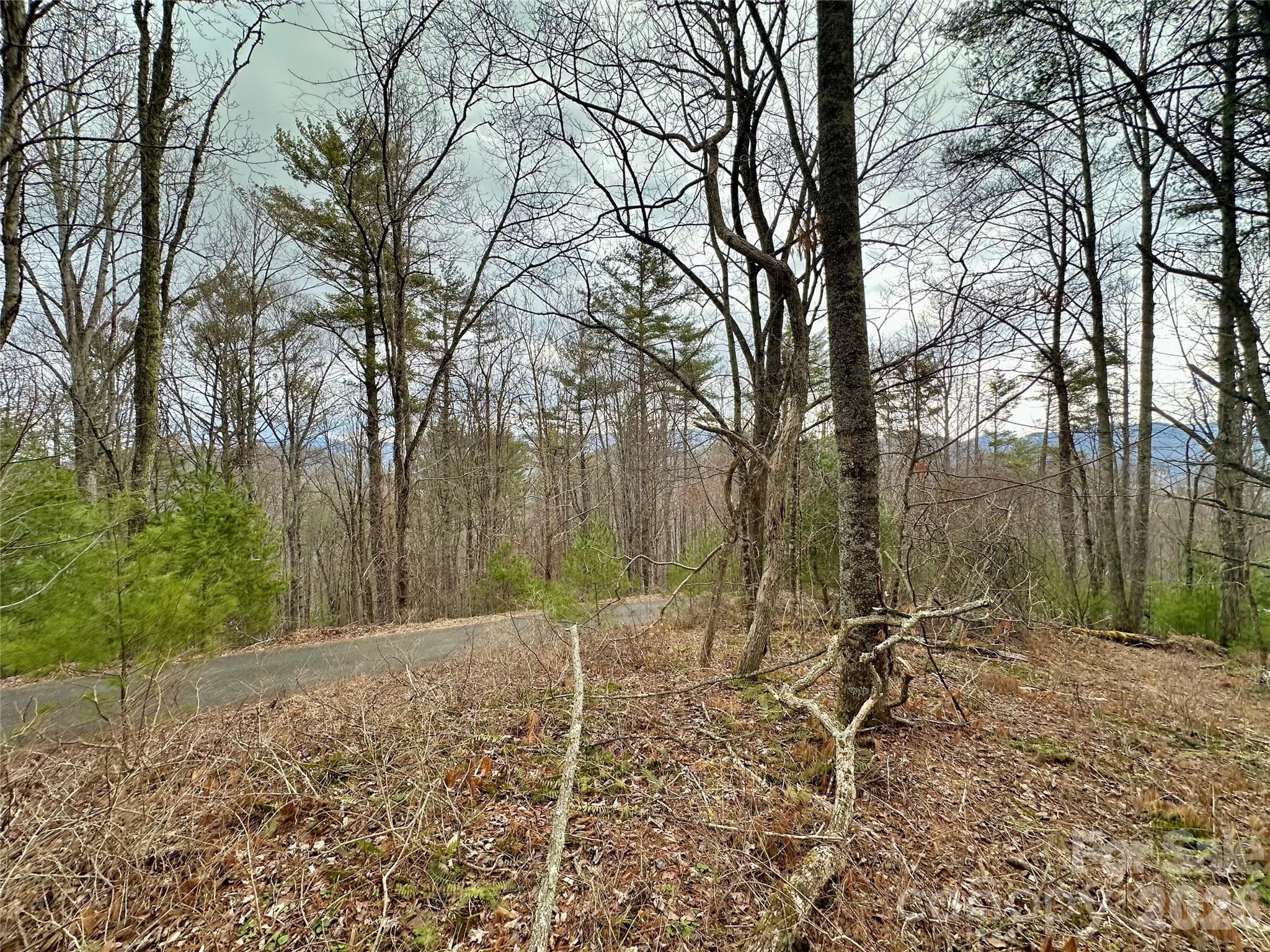 Lot at TBD mantera Ridge, Sugar Grove, photo 4 of 16