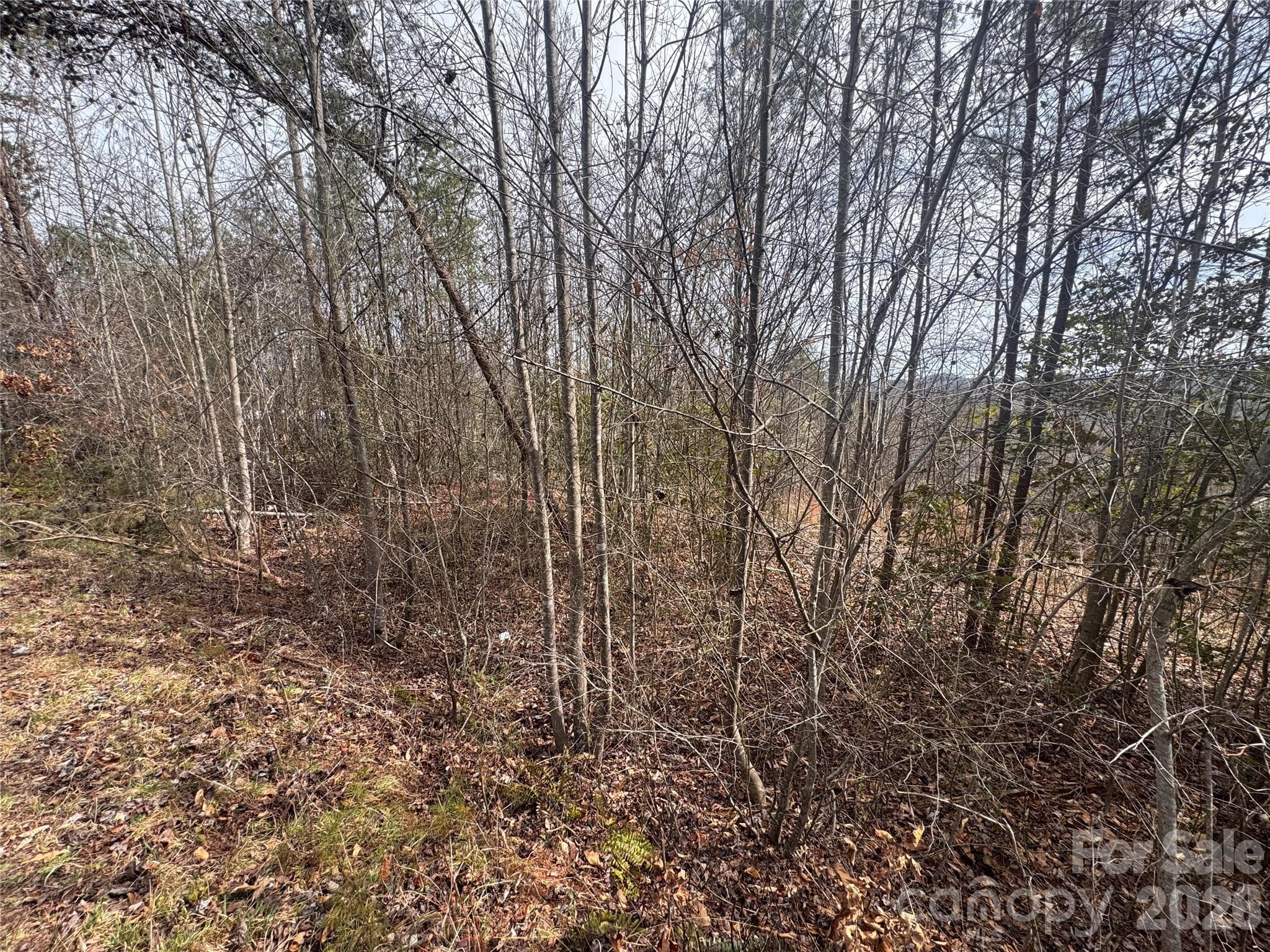 Lot at 00 Billings Hill Church Road, Traphill, photo 2 of 14