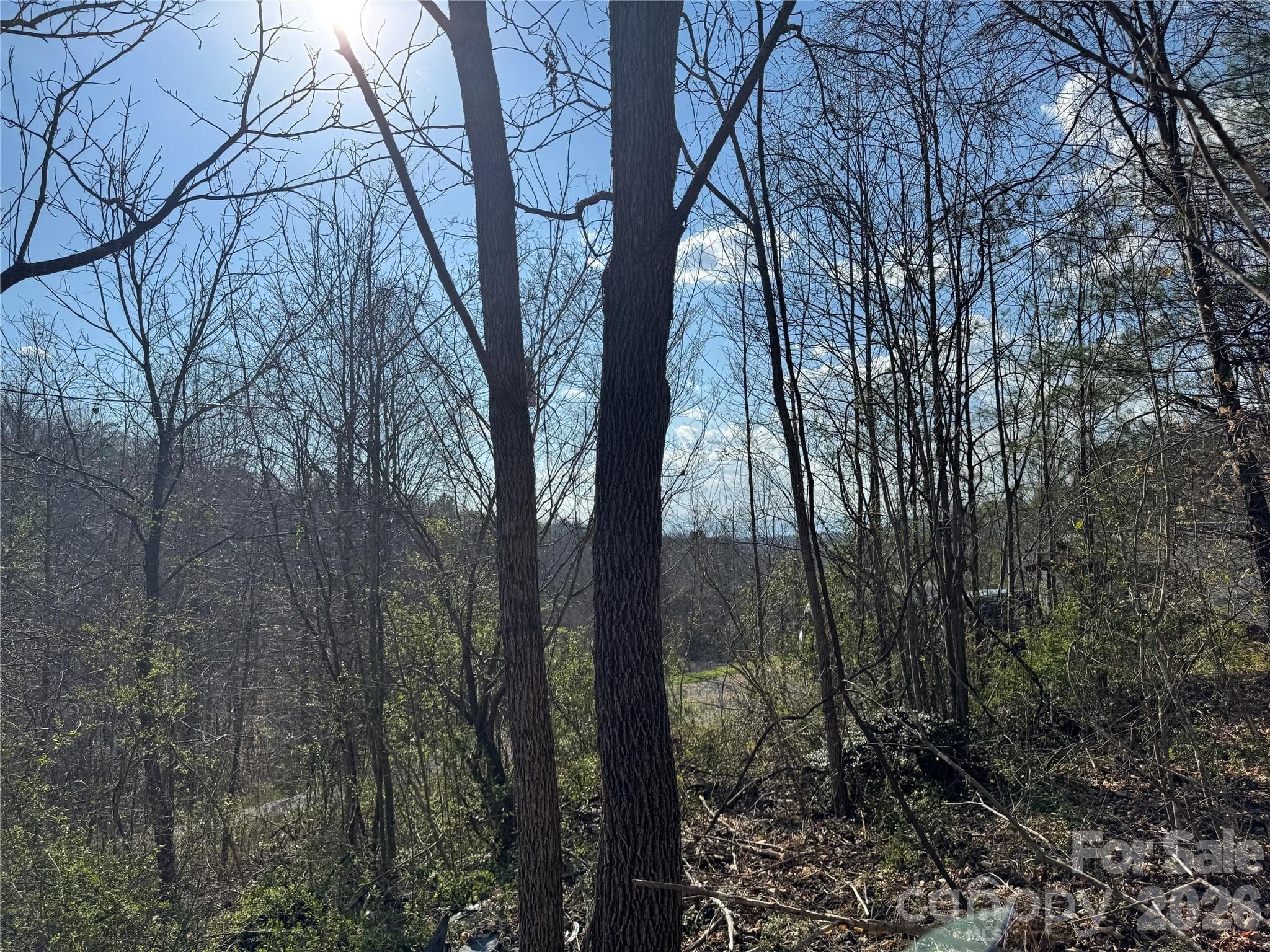 Lot at Weaverville, photo 2 of 15