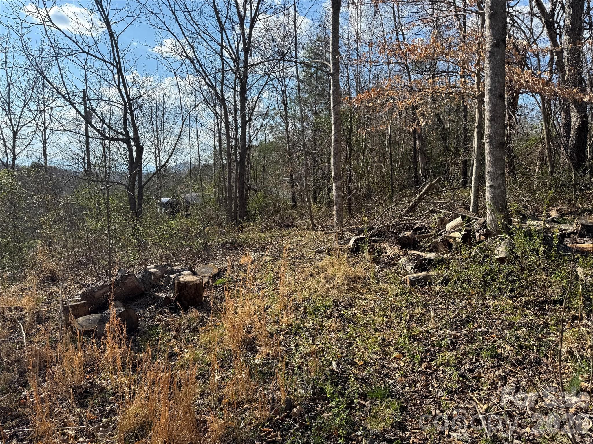 Lot at Weaverville, photo 3 of 15