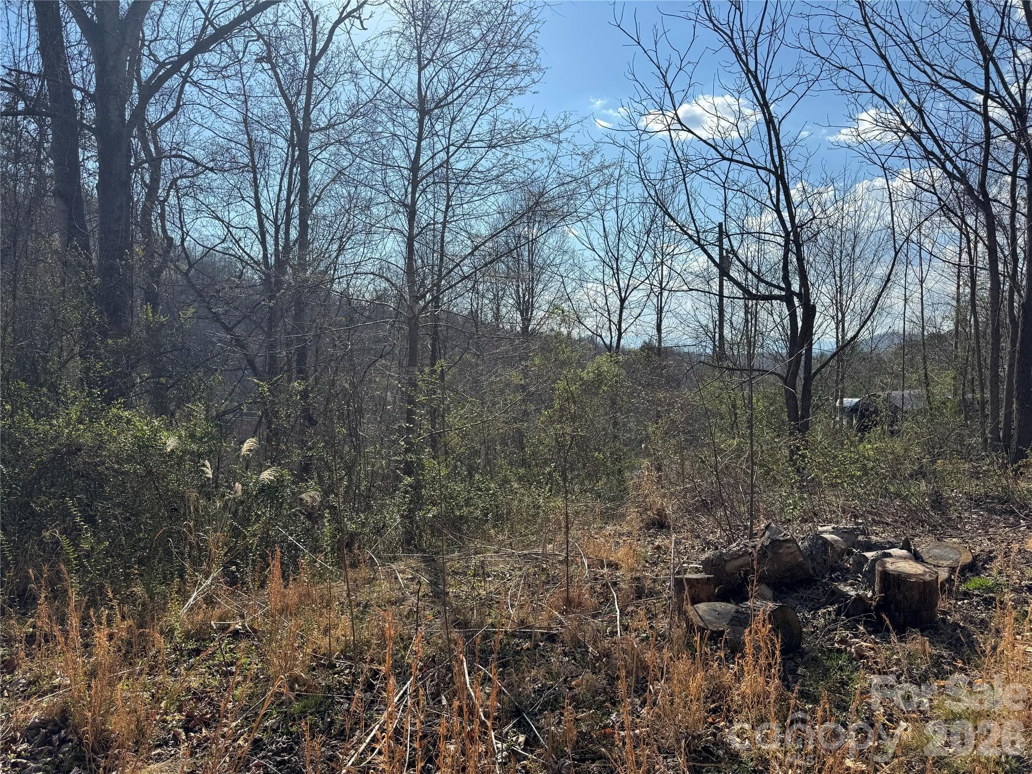 Lot at Weaverville, photo 4 of 15