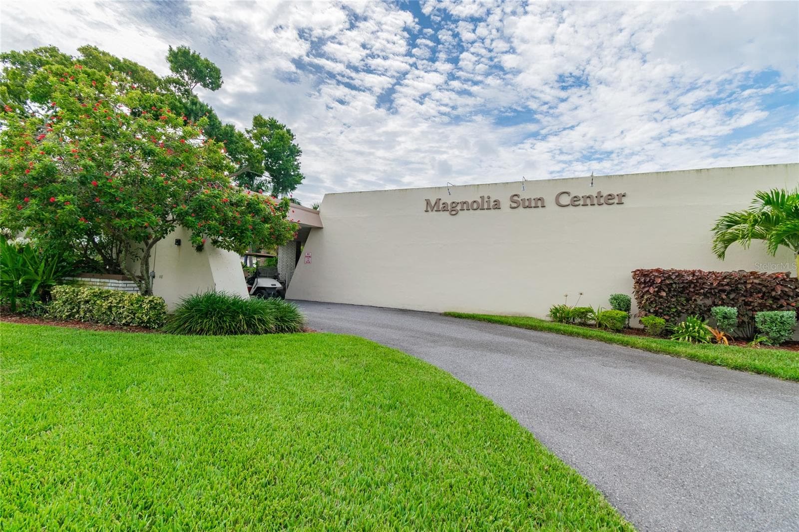 Enjoy the Magnolia Clubhouse amenities. - 5501 80TH ST N #102, ST PETERSBURG