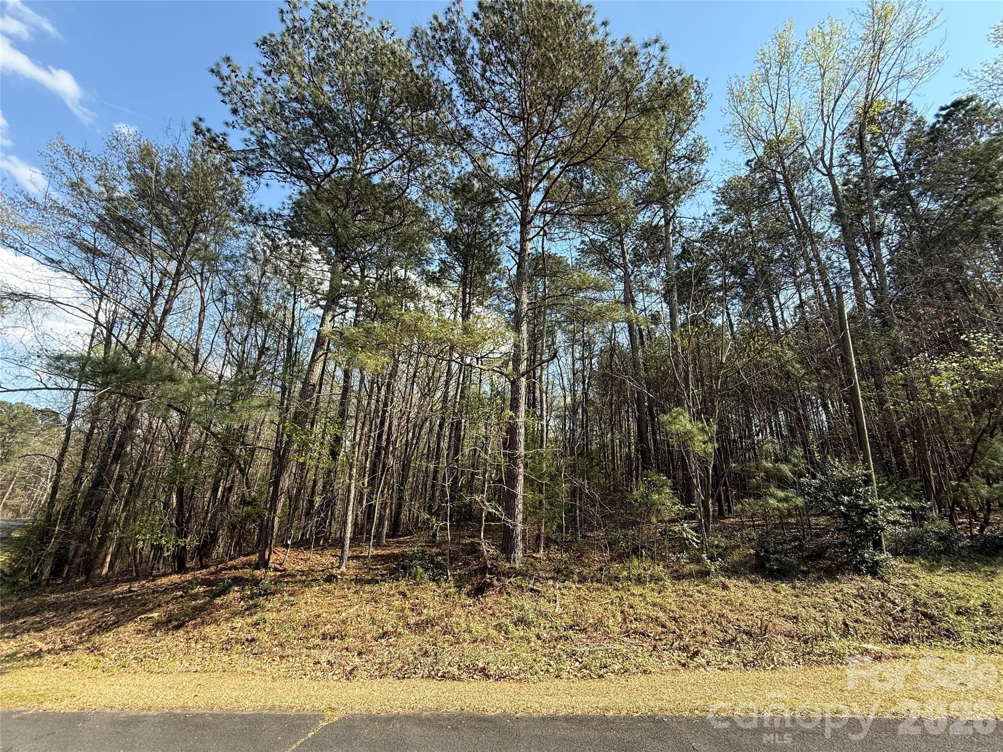 Lot at TBD E Goldmine Road, Wadesboro, photo 2 of 6