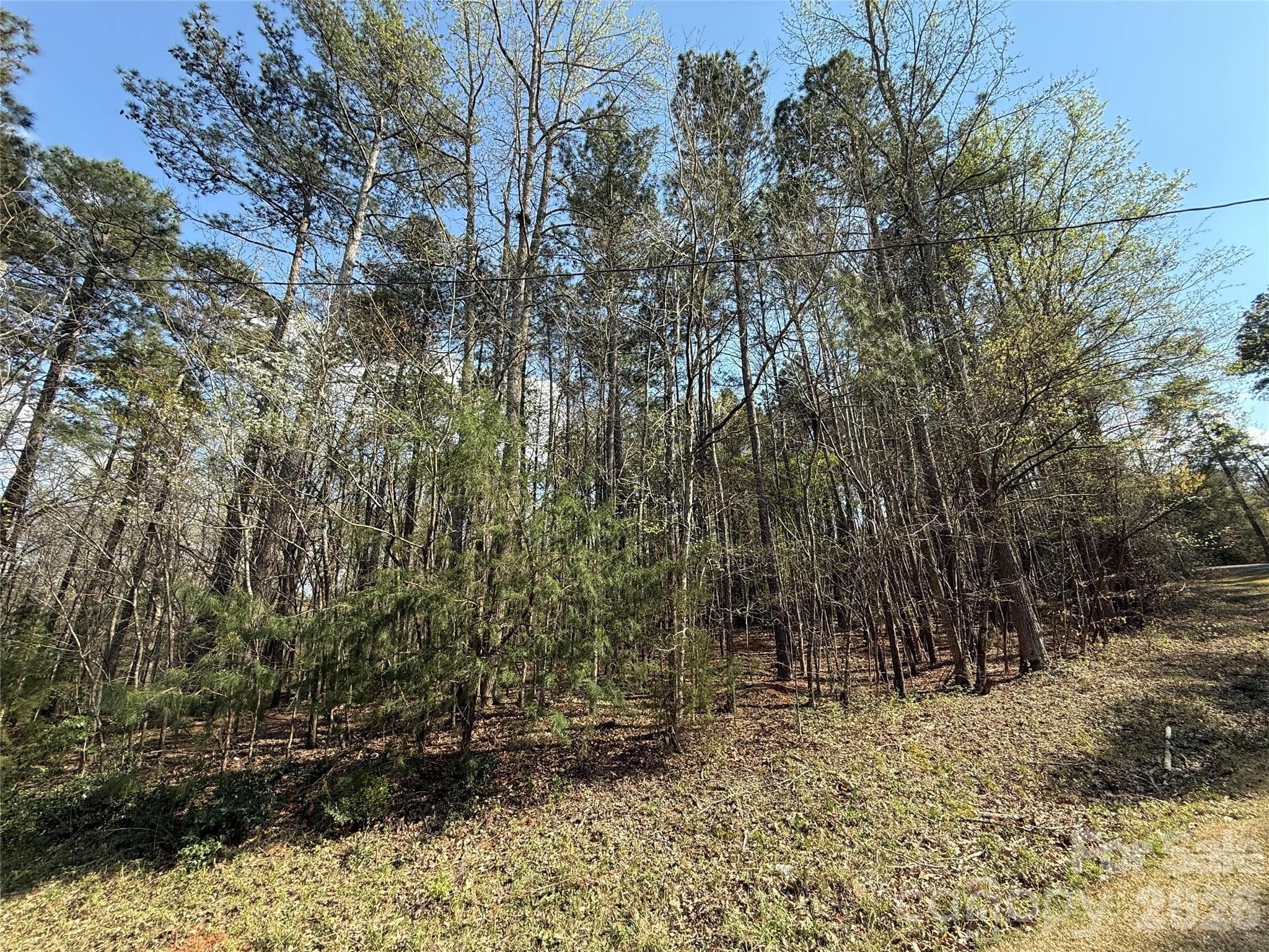 Lot at TBD E Goldmine Road, Wadesboro, photo 3 of 6