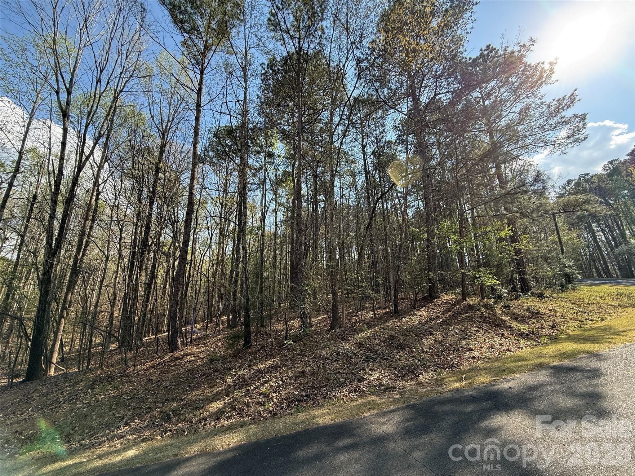 Lot at TBD E Goldmine Road, Wadesboro, photo 4 of 6
