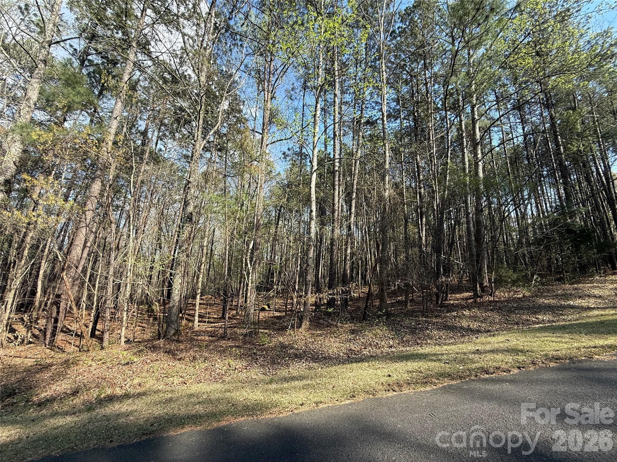 Lot at TBD E Goldmine Road, Wadesboro, photo 6 of 6