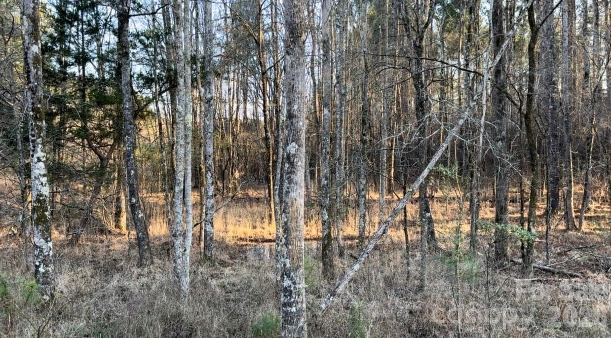 Lot at Lancaster, photo 5 of 48