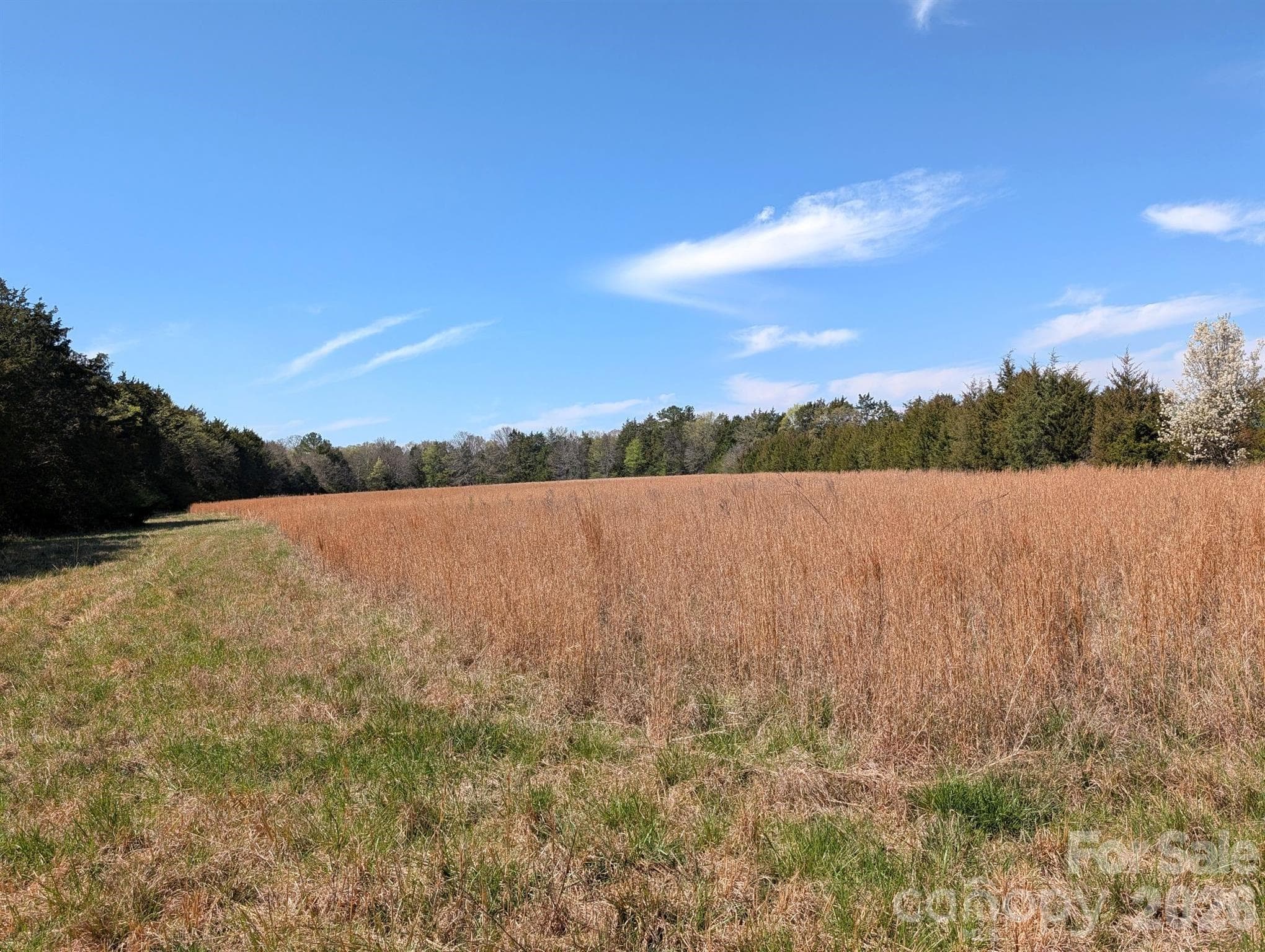 Acreage at Rock Hill, photo 2 of 46