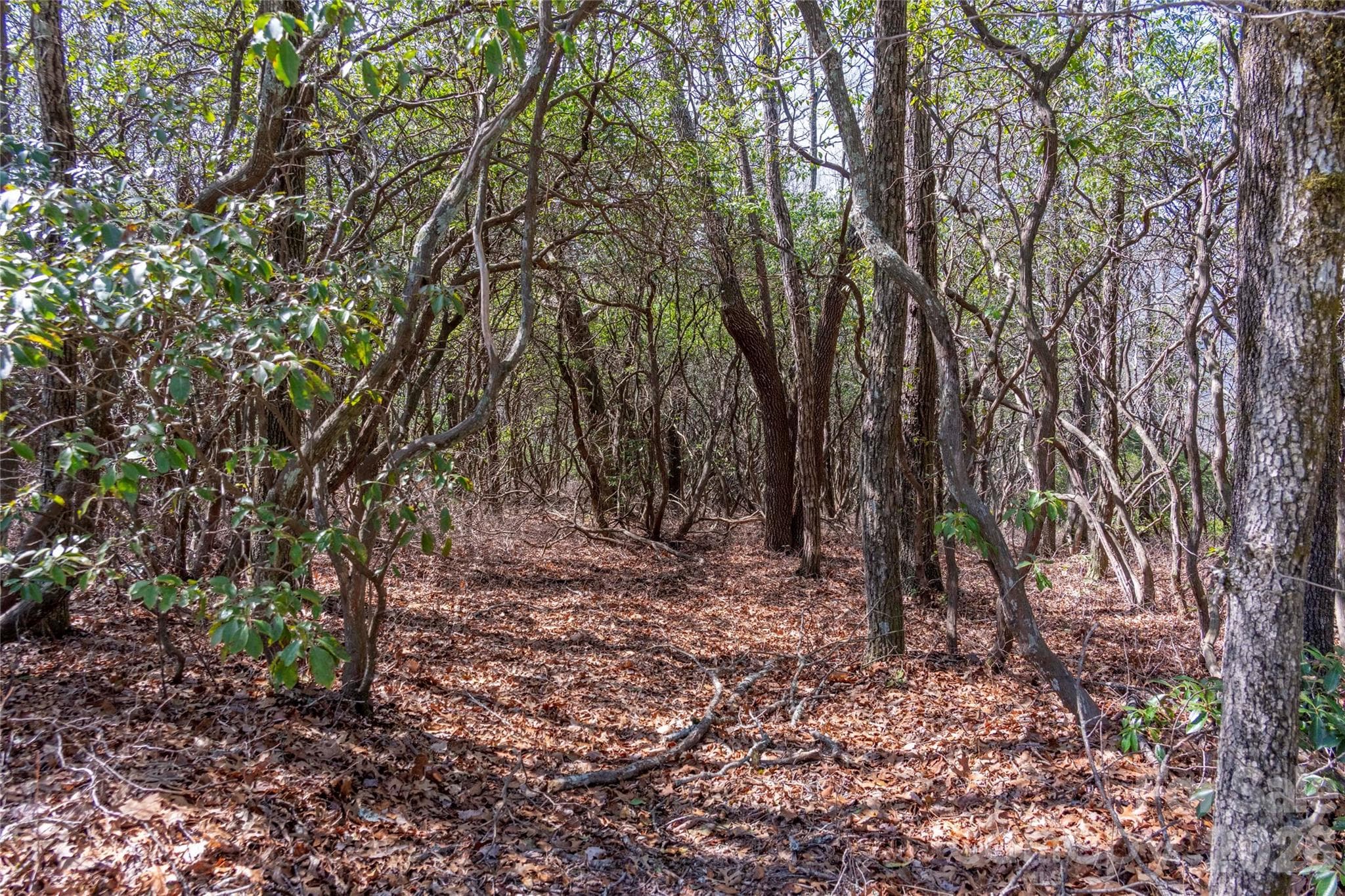 Lot 14 Lakeside Drive