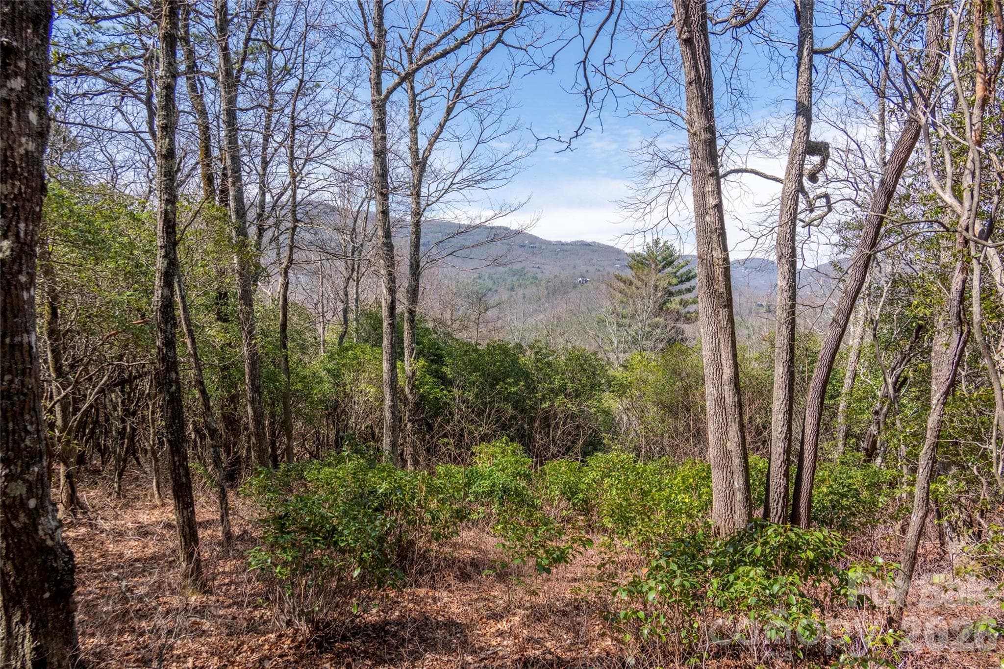 Lot at Lot 14 Lakeside Drive, Lake Toxaway, photo 2 of 17