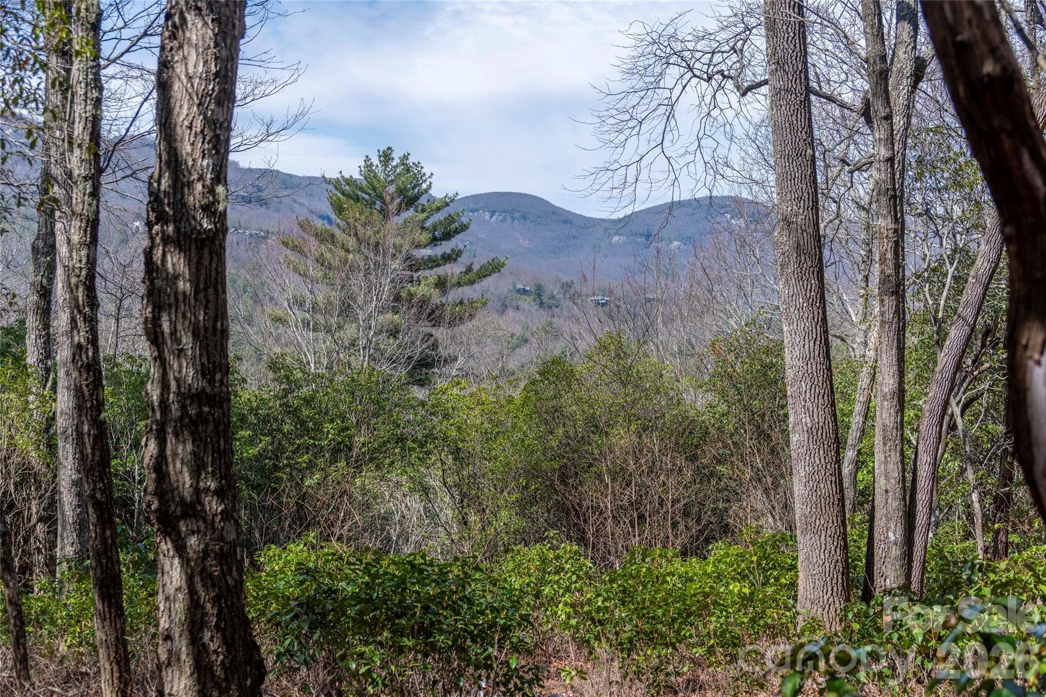 Lot at Lot 14 Lakeside Drive, Lake Toxaway, photo 3 of 17