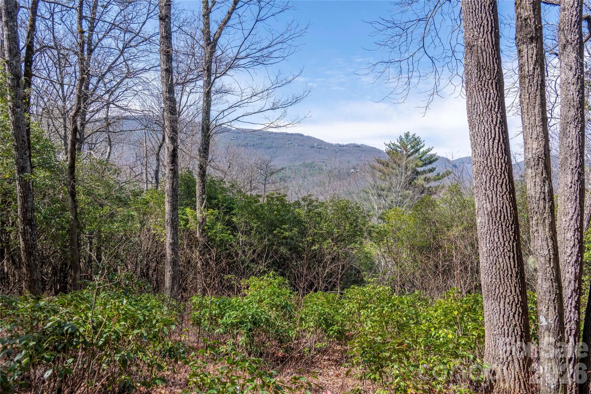 Lot at Lot 14 Lakeside Drive, Lake Toxaway, photo 4 of 17