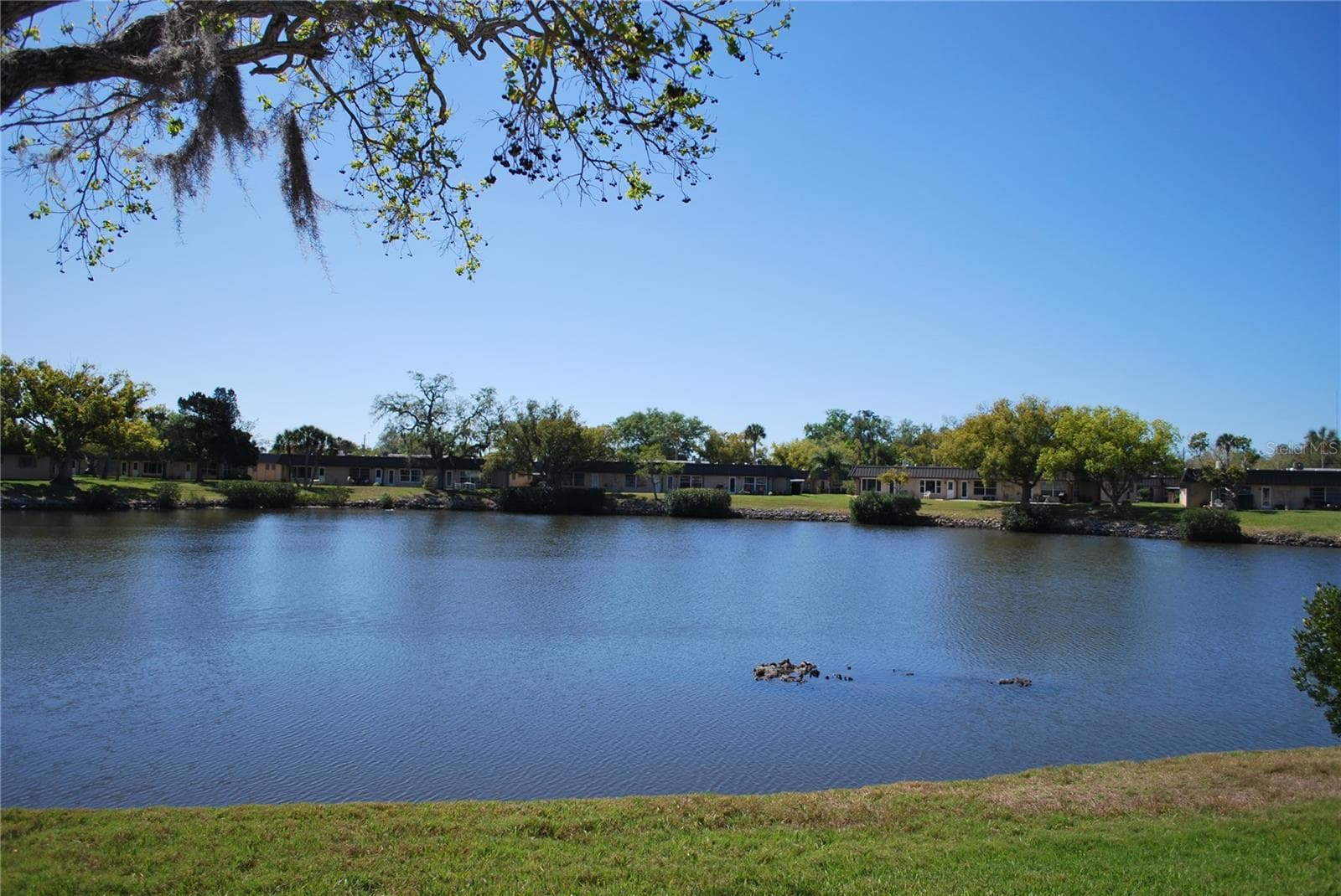 Backyard view - 4136 STRATFORD DR, NEW PORT RICHEY
