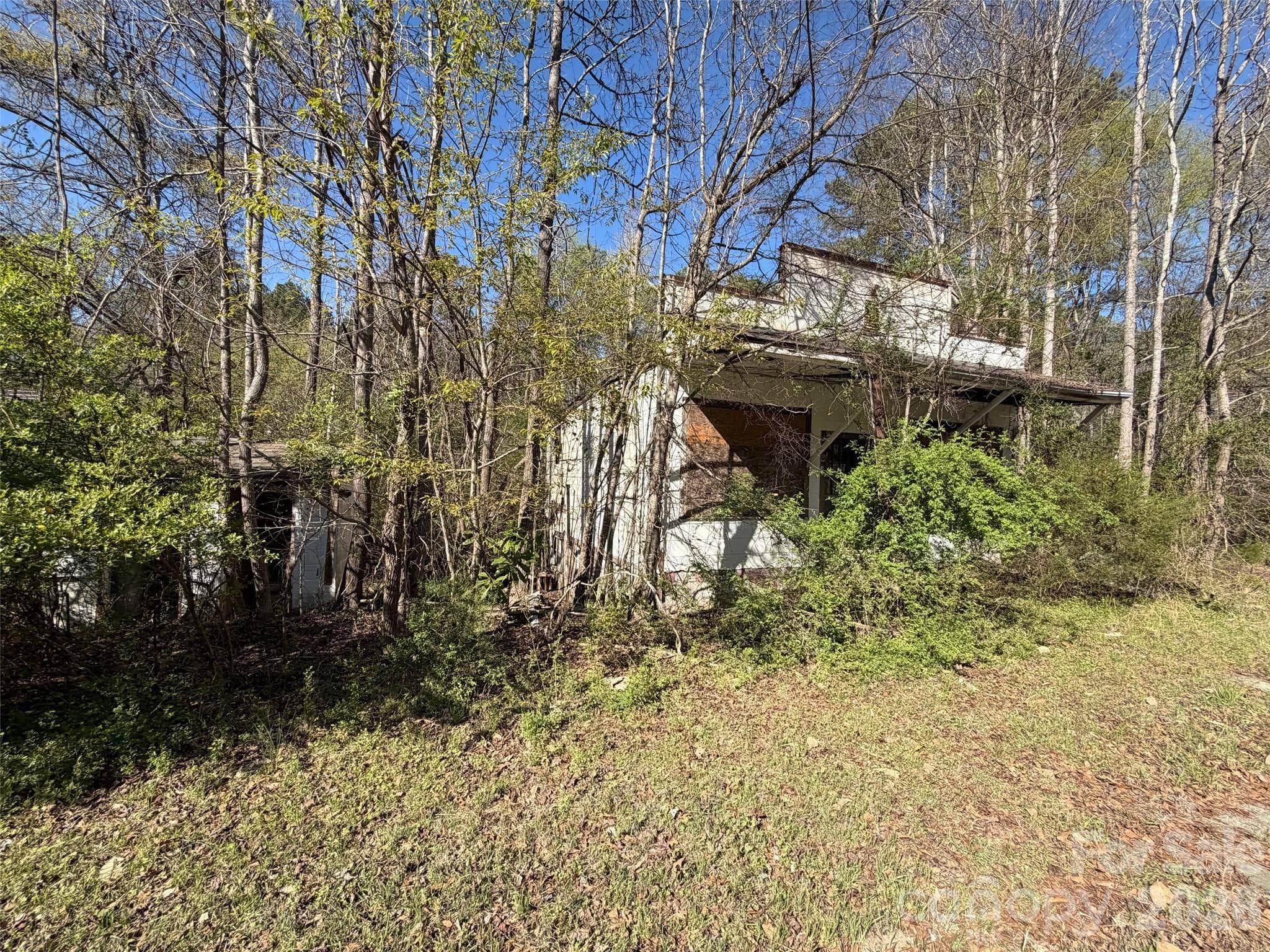 Acreage at 00 Gaston Farm Road, Richburg, photo 2 of 6