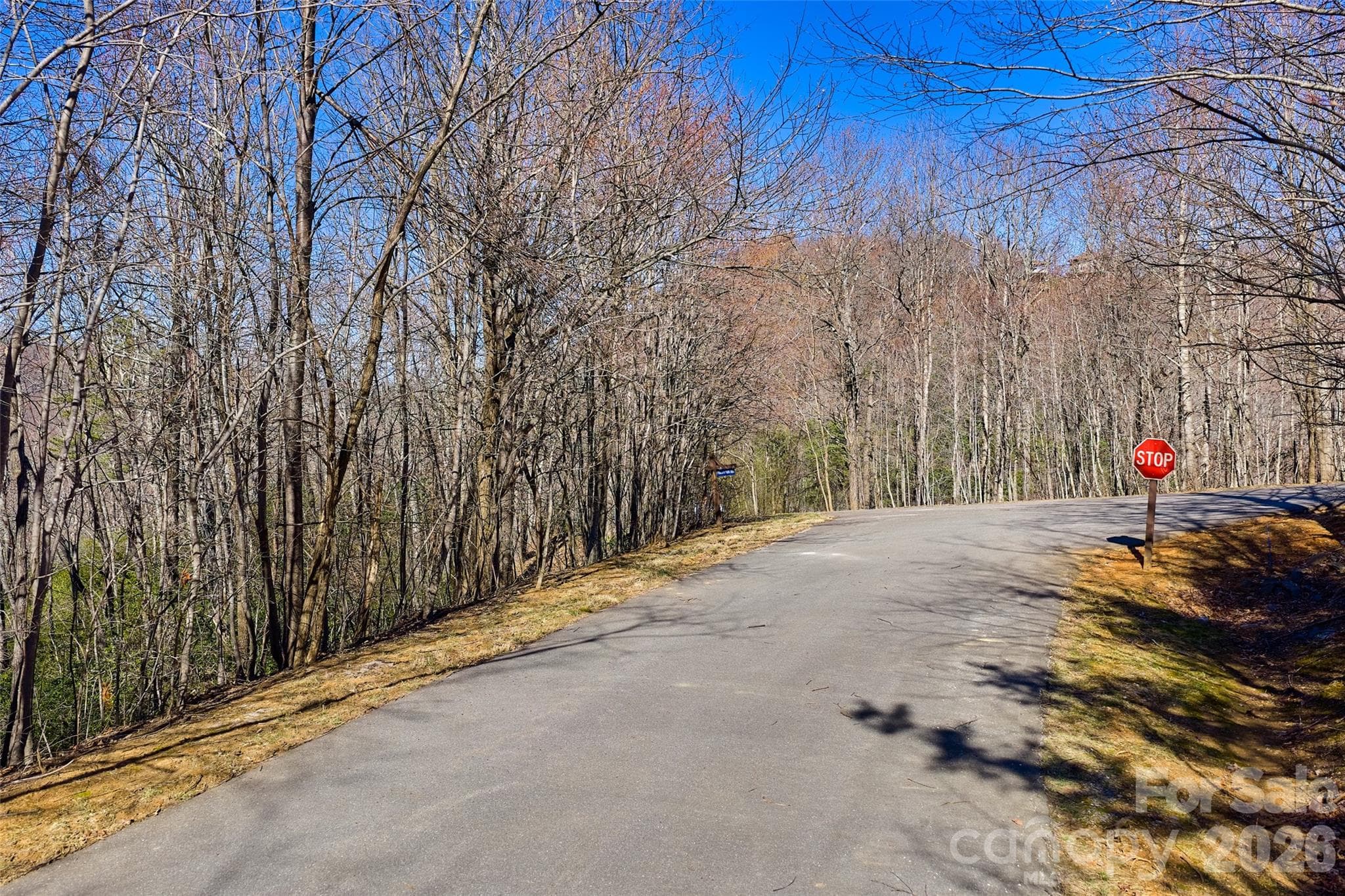 Lot at Black Mountain, photo 5 of 9