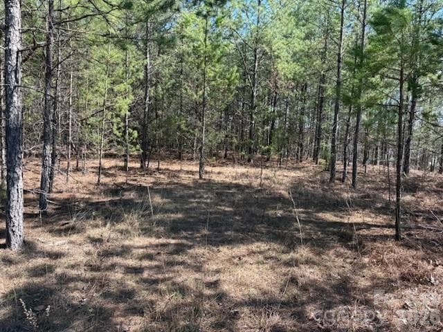 Lot at Rutherfordton, photo 5 of 21