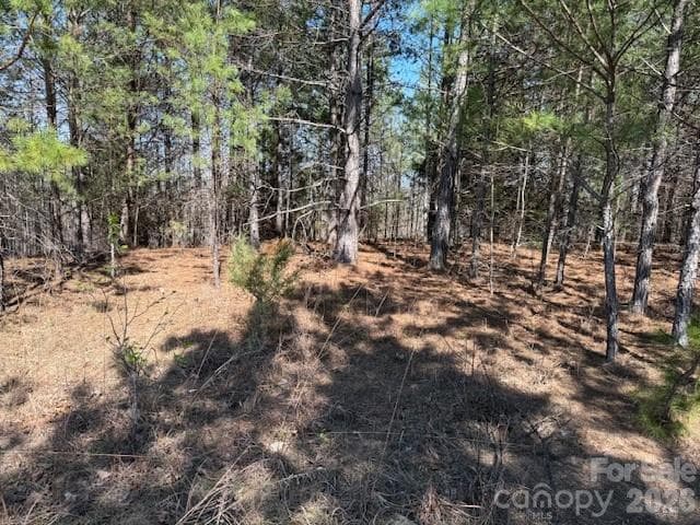 Lot at Rutherfordton, photo 6 of 21