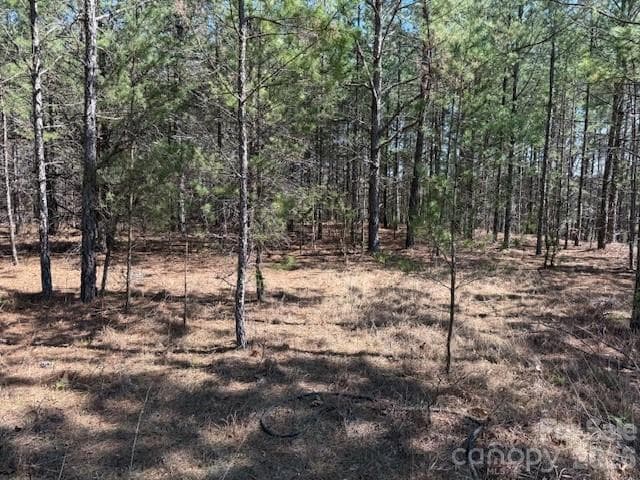 Lot at Rutherfordton, photo 7 of 21