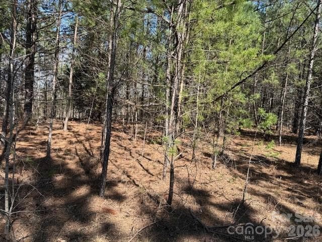 Lot at Rutherfordton, photo 8 of 21