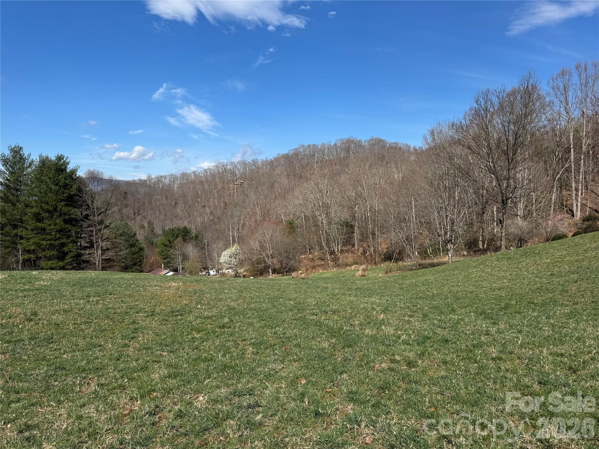 Acreage at Clyde, photo 3 of 32