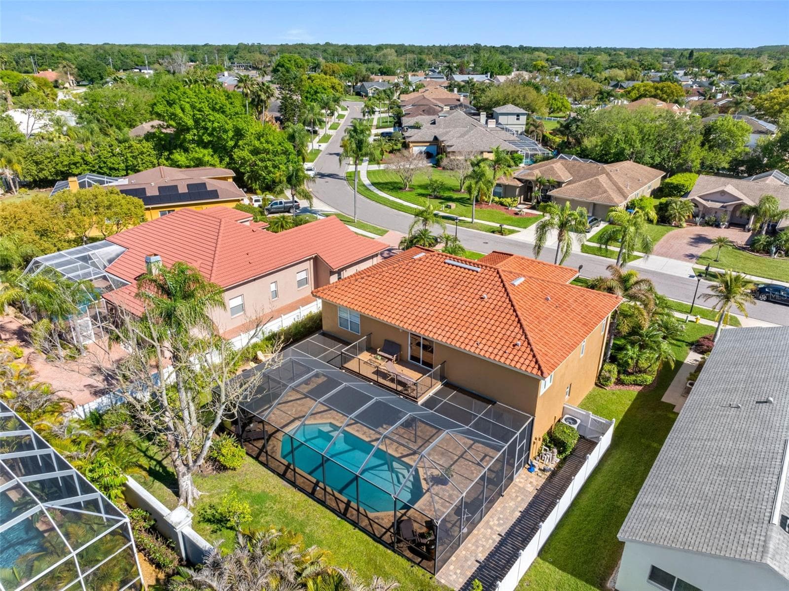 Large Backyard - 1872 EAGLE TRACE BLVD, PALM HARBOR