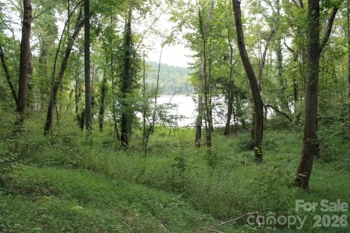 Lot at 374 E Settings Boulevard NW, Valdese, photo 2 of 17