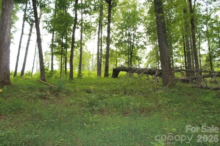Lot at 374 E Settings Boulevard NW, Valdese, photo 3 of 17