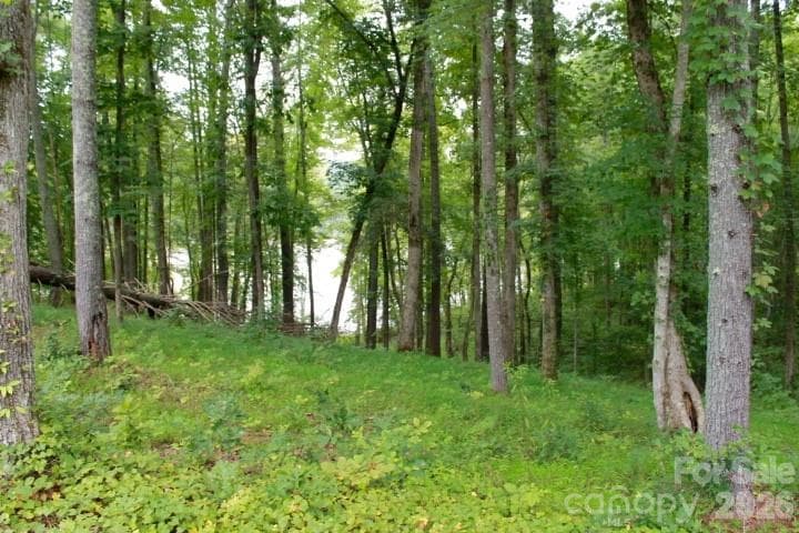 Lot at 374 E Settings Boulevard NW, Valdese, photo 4 of 17
