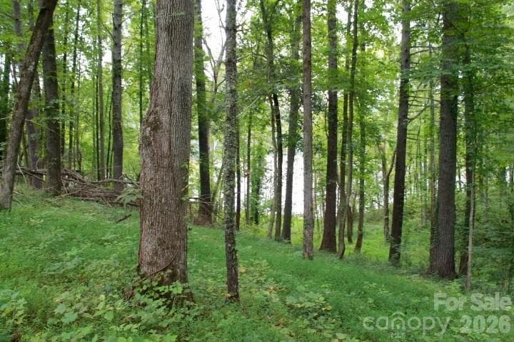 Lot at 374 E Settings Boulevard NW, Valdese, photo 5 of 17