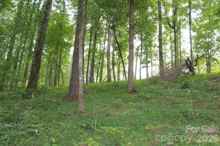 Lot at 374 E Settings Boulevard NW, Valdese, photo 6 of 17
