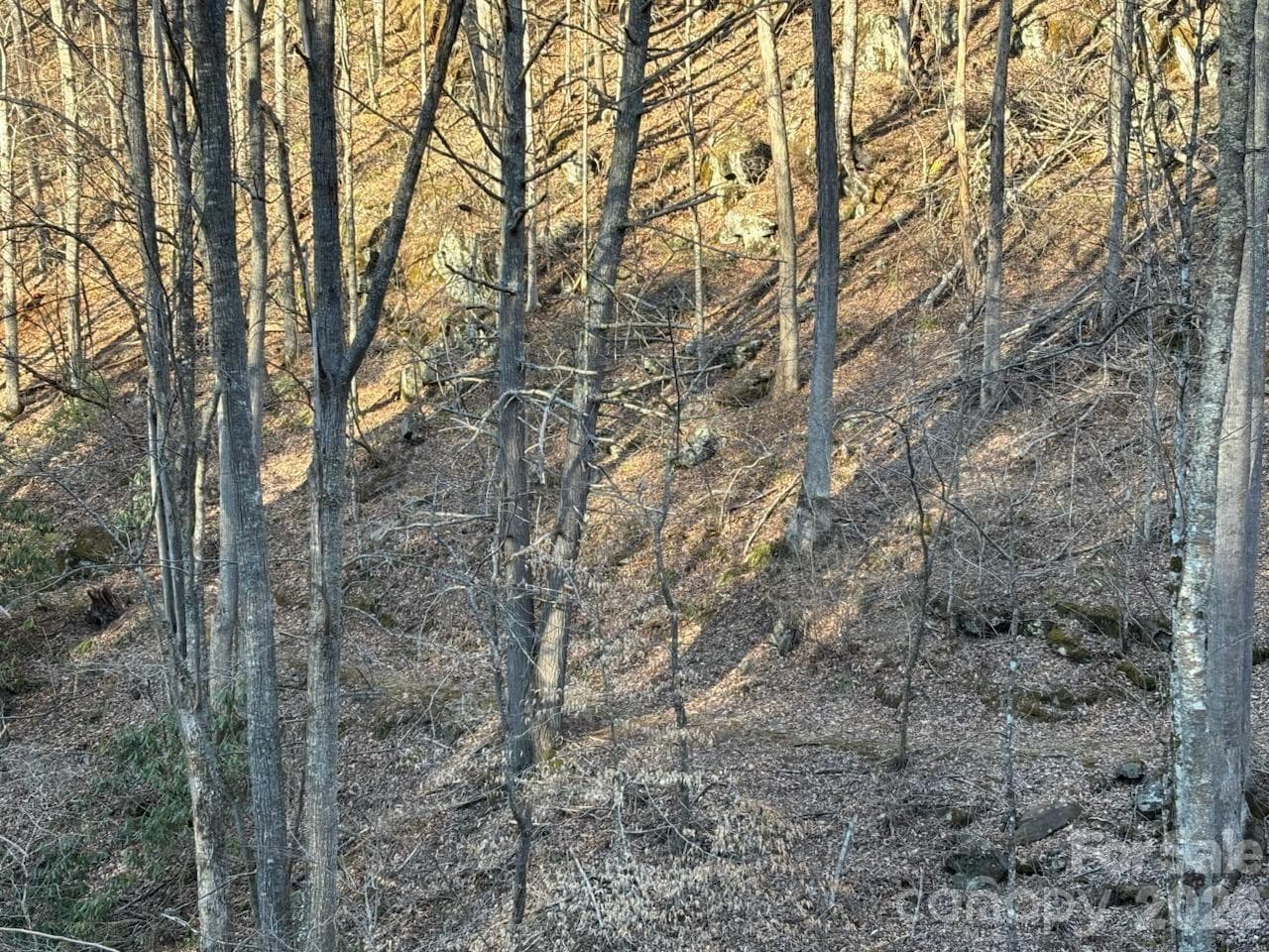 Portfolio at 324 Marble Mine Road, Bakersville, photo 5 of 46