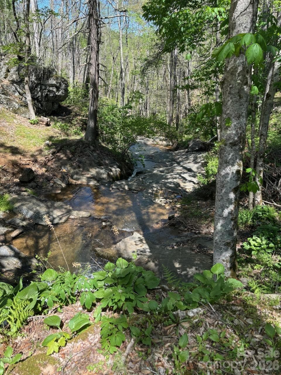 Portfolio at 324 Marble Mine Road, Bakersville, photo 35 of 46