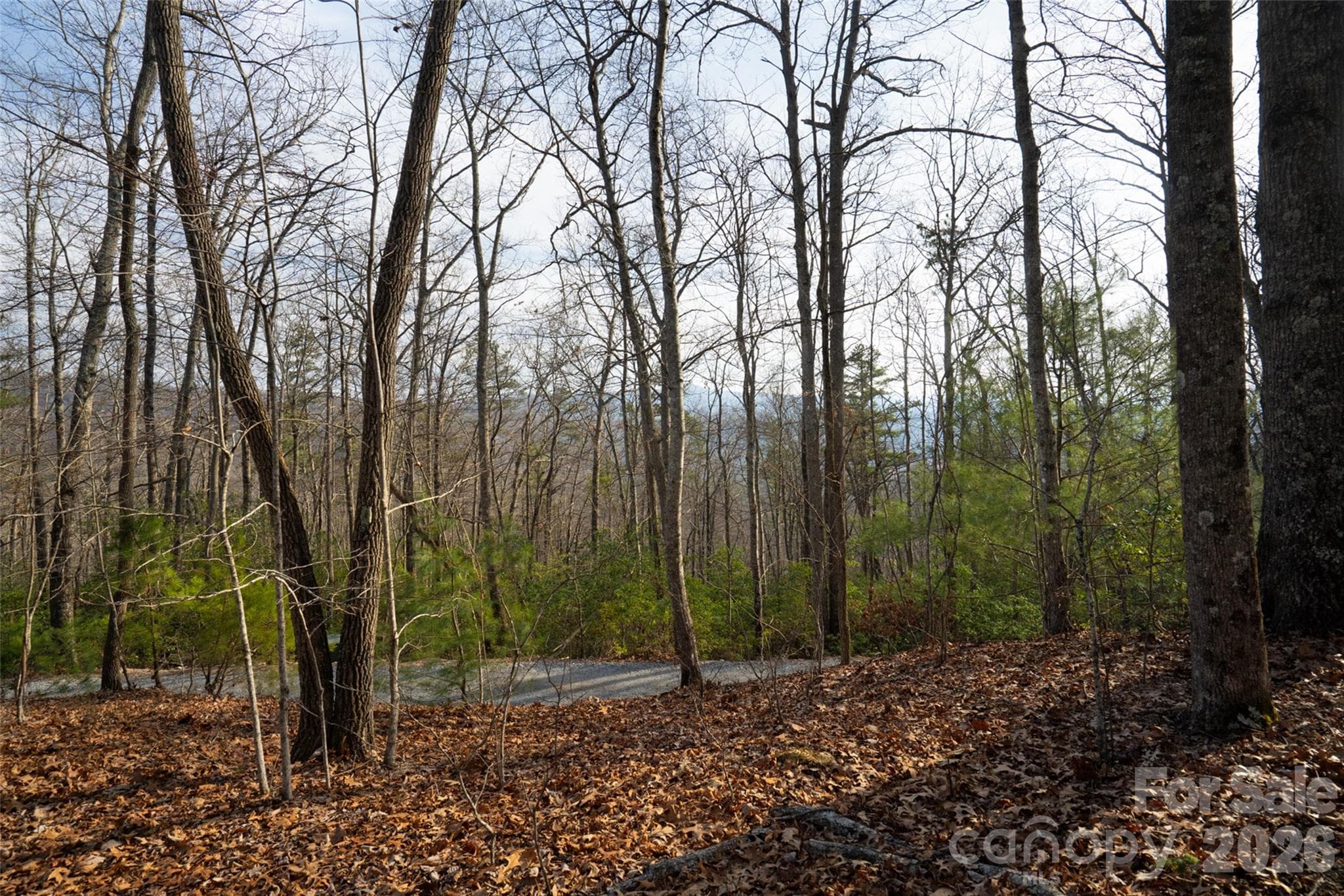 Lot at Pisgah Forest, photo 3 of 16