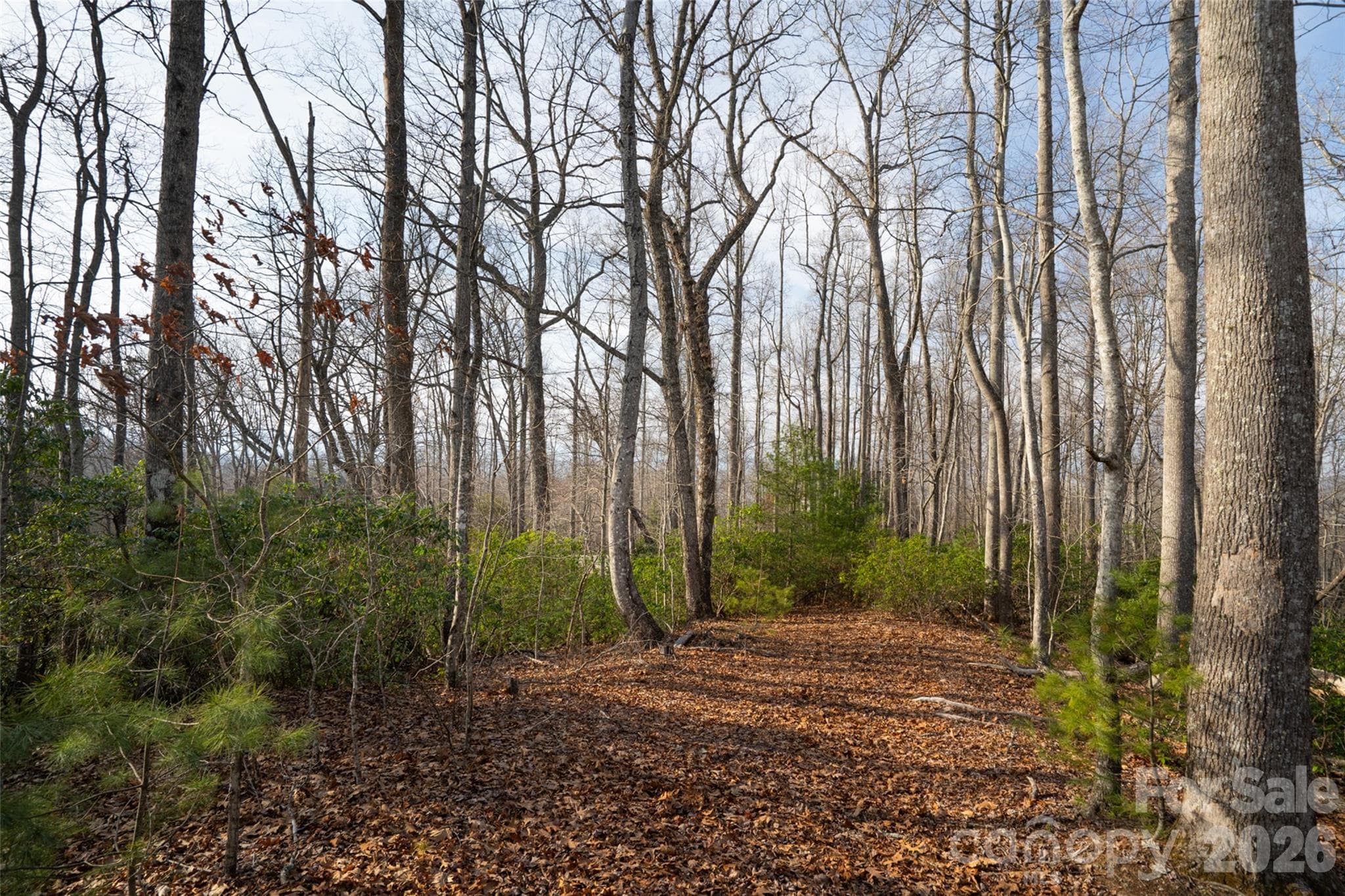 Lot at Pisgah Forest, photo 4 of 16