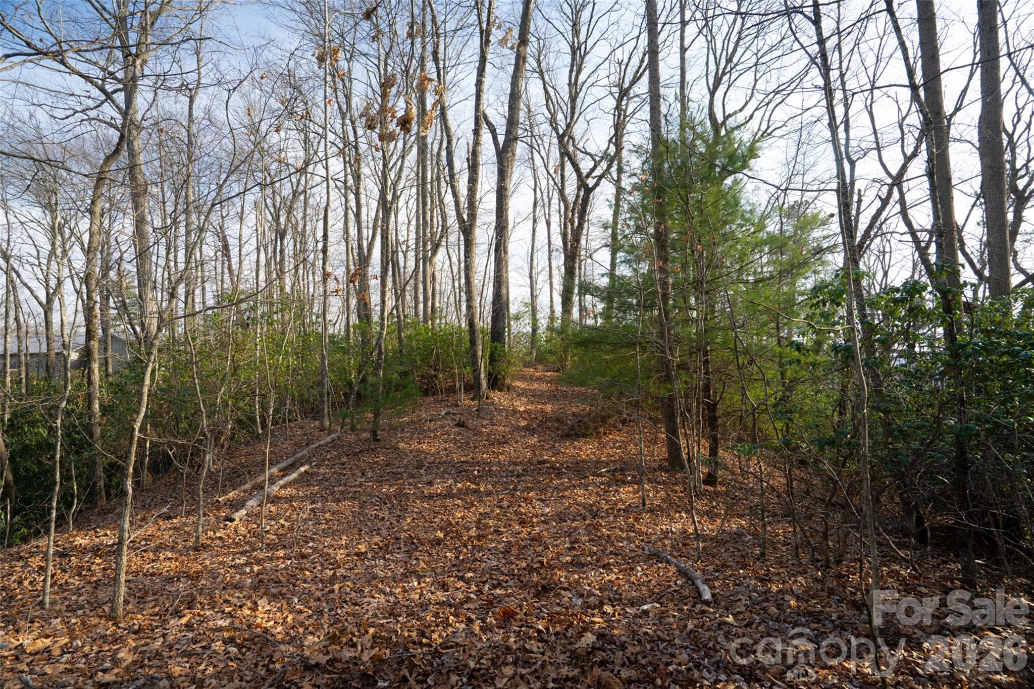 Lot at Pisgah Forest, photo 5 of 16