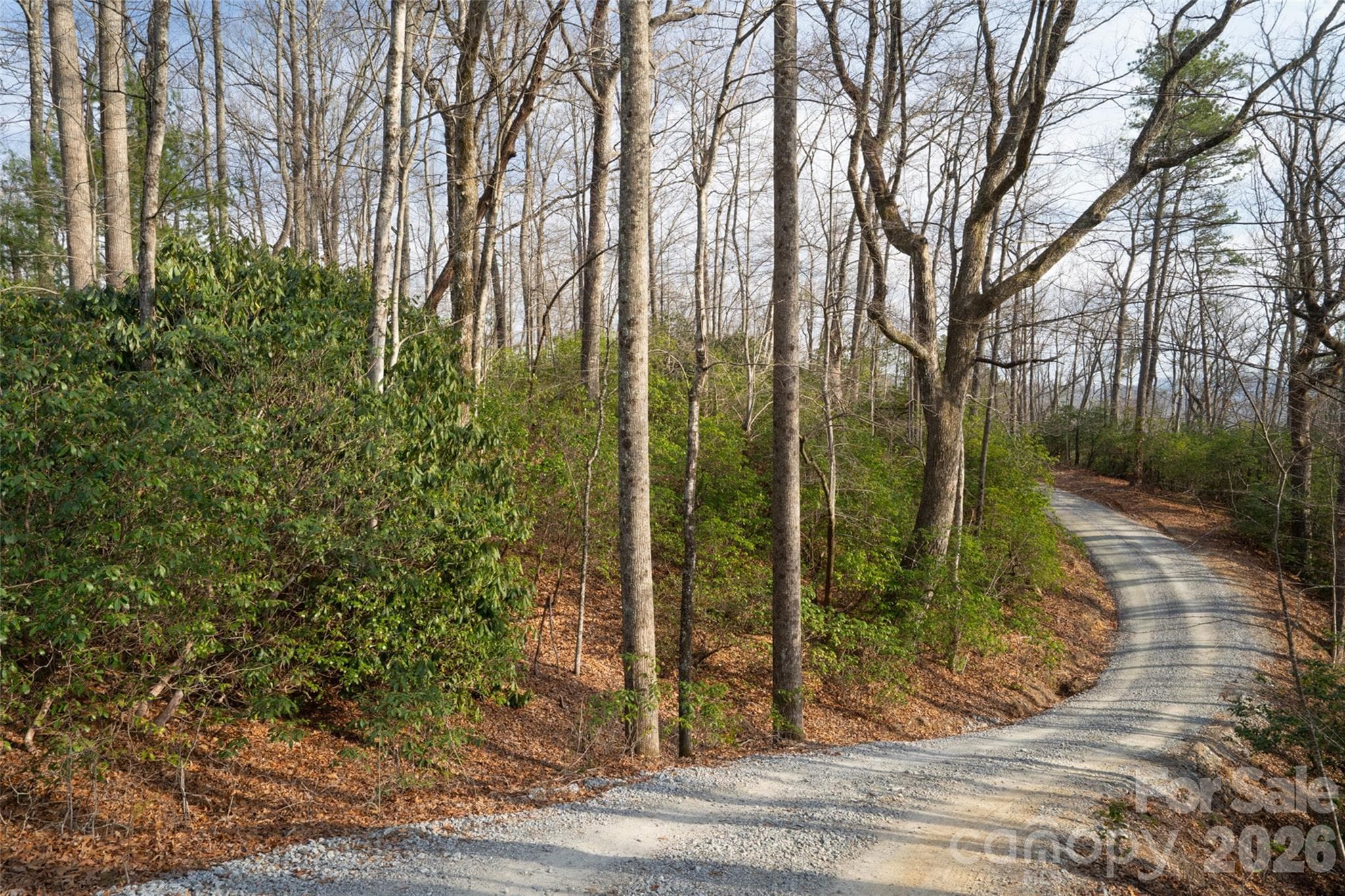 Lot at Pisgah Forest, photo 6 of 16
