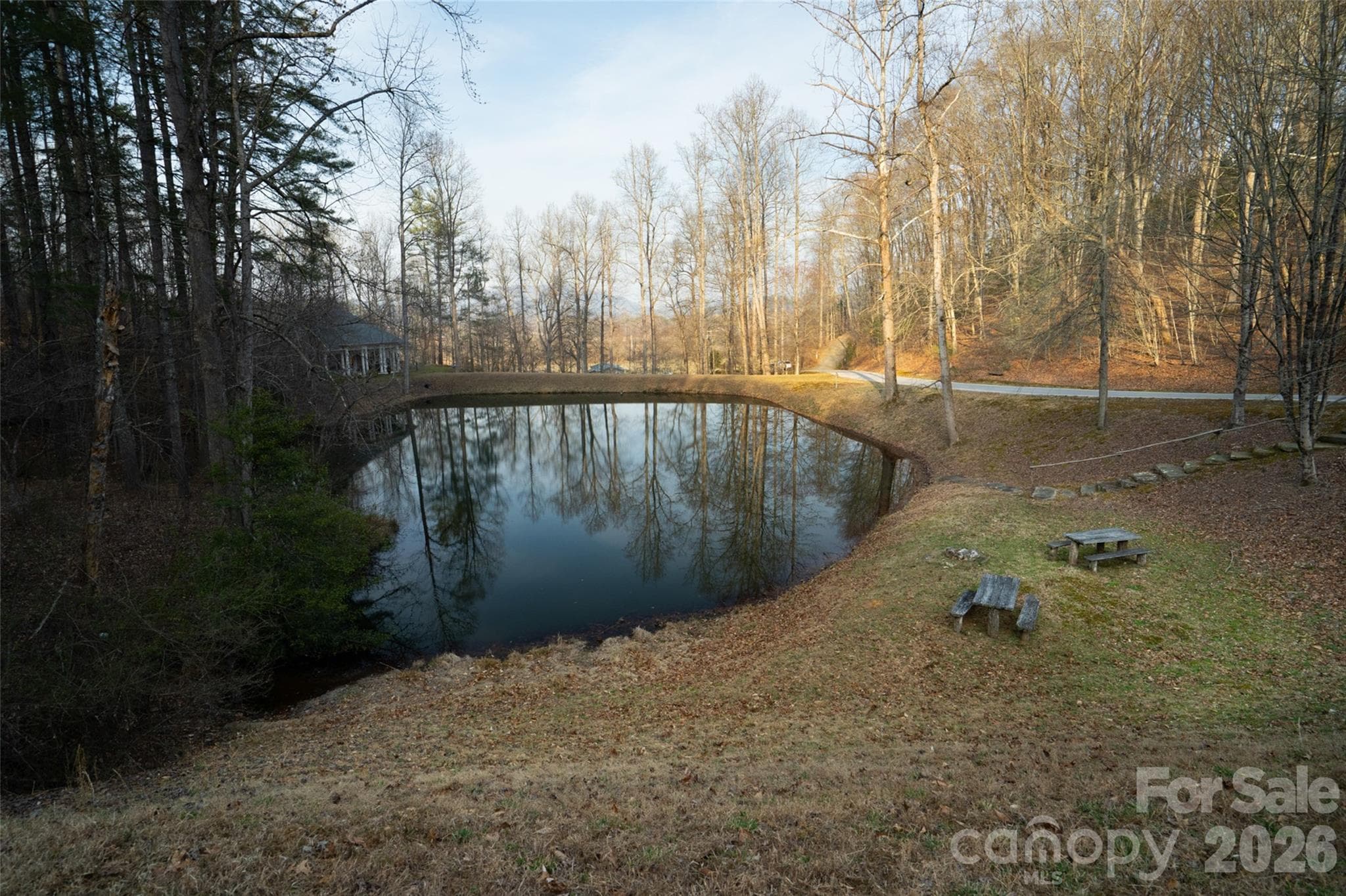 Lot at Pisgah Forest, photo 7 of 16