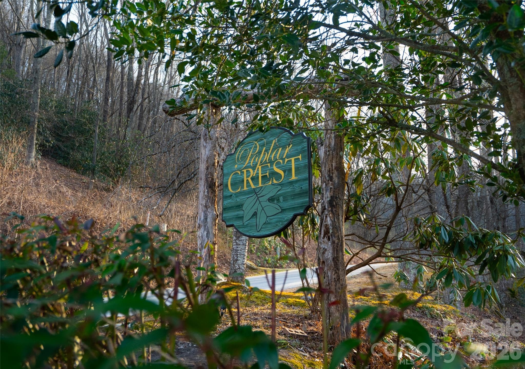 Lot at Pisgah Forest, photo 8 of 16