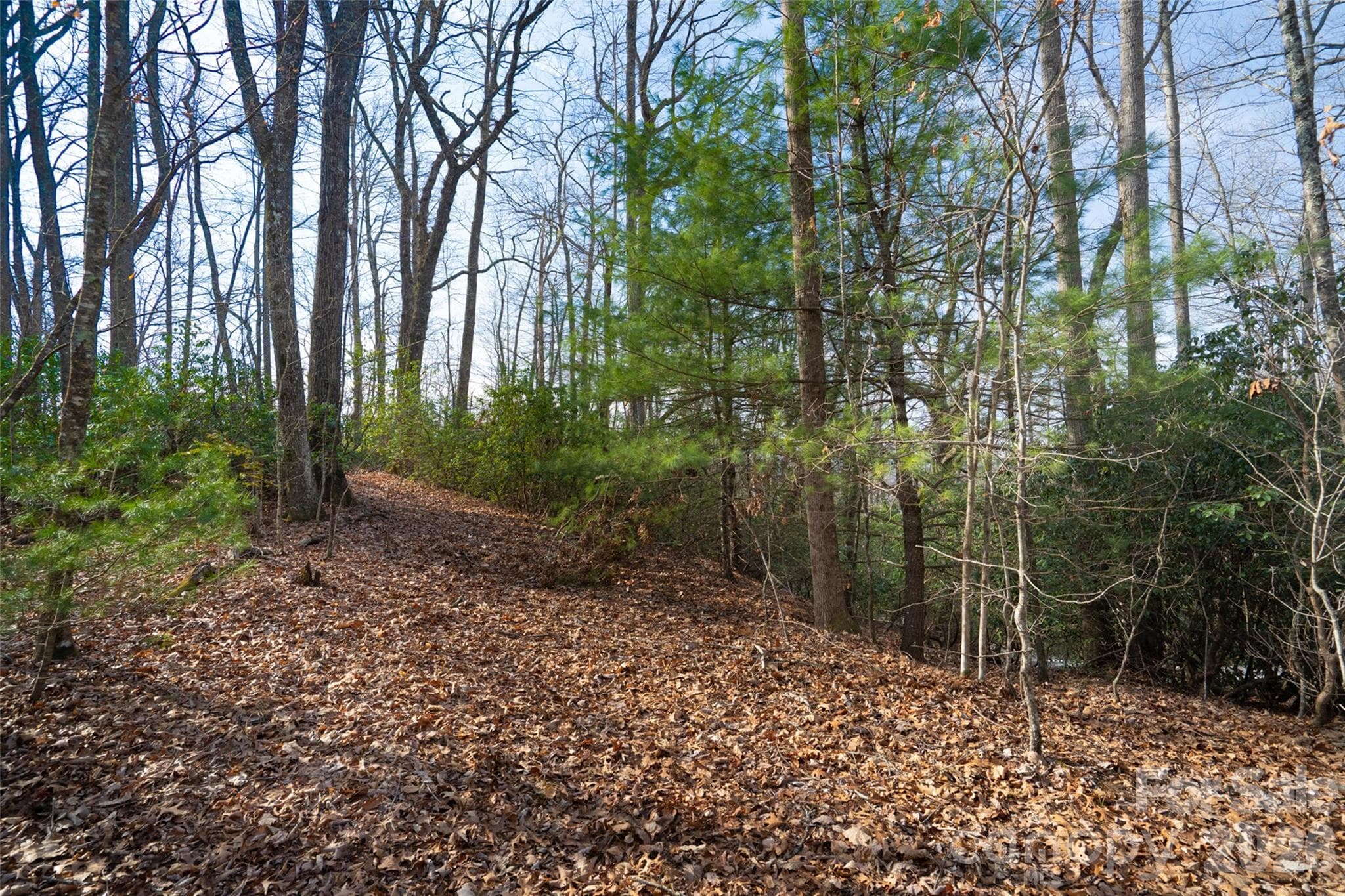 Lot at Pisgah Forest, photo 9 of 16