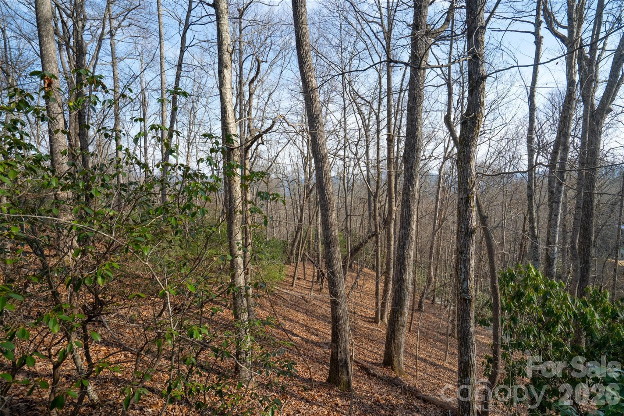 Lot at Pisgah Forest, photo 10 of 16