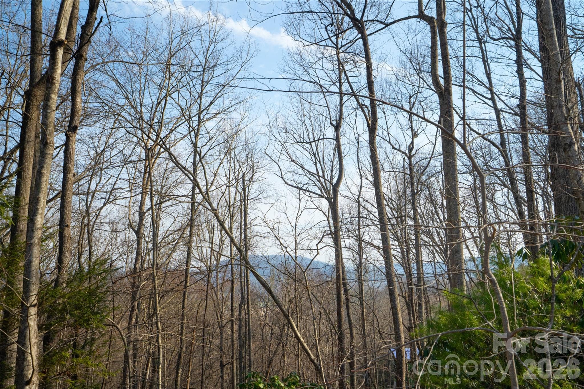 Lot at Pisgah Forest, photo 11 of 16
