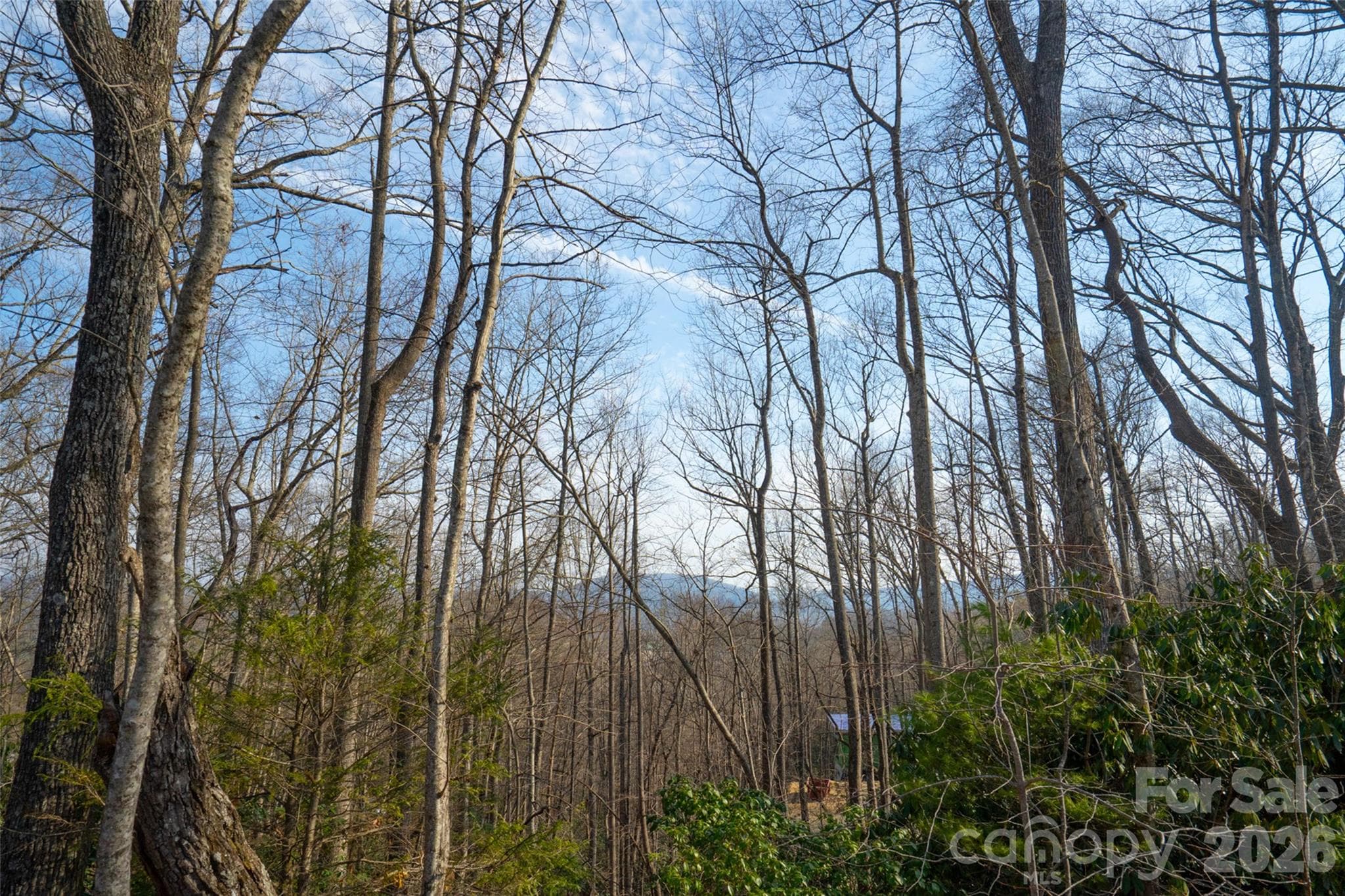 Lot at Pisgah Forest, photo 12 of 16