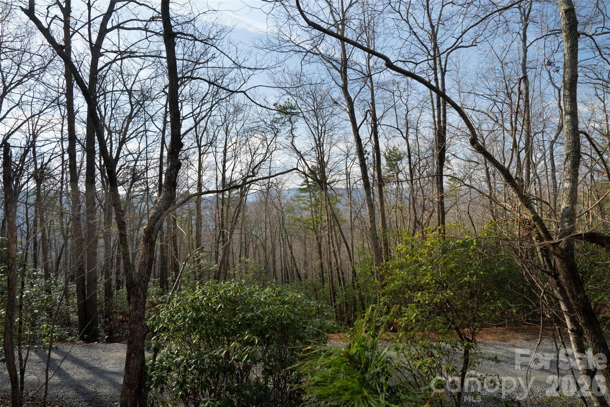 Lot at Pisgah Forest, photo 13 of 16